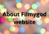 About Filmygod website