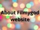 About Filmygod website