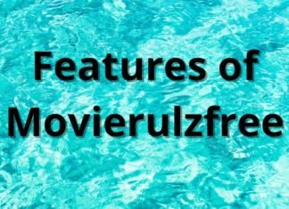 Features of Movierulzfree