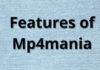 Features of Mp4mania (1)
