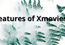 Features of Xmovies8