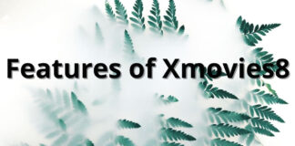 Features of Xmovies8