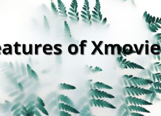 Features of Xmovies8