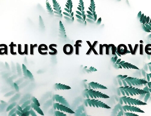 Features of Xmovies8