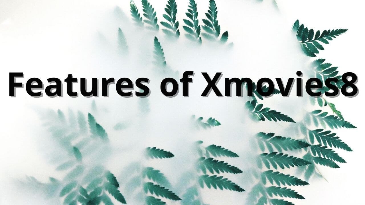 Features of Xmovies8