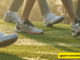 Adidas Adizero golf shoes placed on a golf course, showcasing their lightweight design and performance features.
